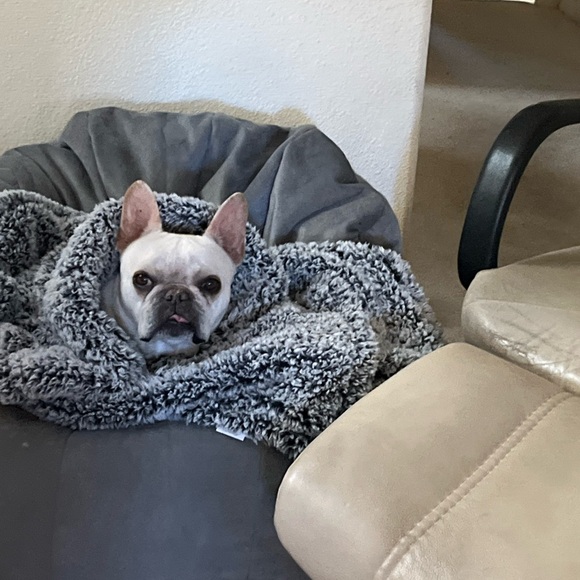 Meet your Posher, Jen - Picture 2 of 5